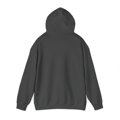 Signal Lost Hoodie